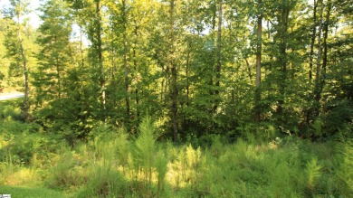 Many possibilities with this resedential lot offering 5.02 acres on The Cliffs At Keowee Vineyards Golf Club in South Carolina - for sale on GolfHomes.com, golf home, golf lot
