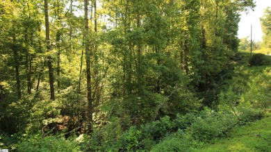 Many possibilities with this resedential lot offering 5.02 acres on The Cliffs At Keowee Vineyards Golf Club in South Carolina - for sale on GolfHomes.com, golf home, golf lot