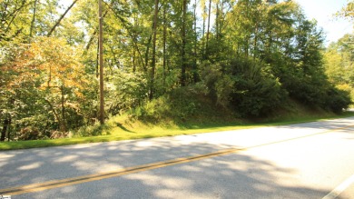 Many possibilities with this resedential lot offering 5.02 acres on The Cliffs At Keowee Vineyards Golf Club in South Carolina - for sale on GolfHomes.com, golf home, golf lot