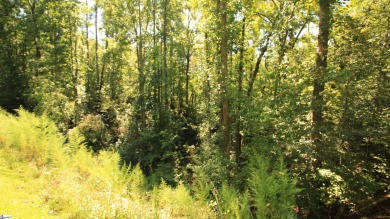 Many possibilities with this resedential lot offering 5.02 acres on The Cliffs At Keowee Vineyards Golf Club in South Carolina - for sale on GolfHomes.com, golf home, golf lot