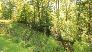 Many possibilities with this resedential lot offering 5.02 acres on The Cliffs At Keowee Vineyards Golf Club in South Carolina - for sale on GolfHomes.com, golf home, golf lot