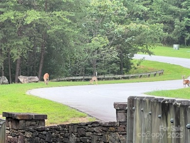 Private .97 acre lot with a stream in the highly desirable gated on Brights Creek Golf Course in North Carolina - for sale on GolfHomes.com, golf home, golf lot