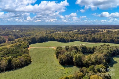 Gorgeous farmland in the highly desired Countryside of Union on Eagle Chase Golf Club in North Carolina - for sale on GolfHomes.com, golf home, golf lot