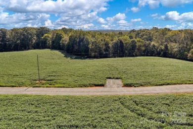 Gorgeous farmland in the highly desired Countryside of Union on Eagle Chase Golf Club in North Carolina - for sale on GolfHomes.com, golf home, golf lot