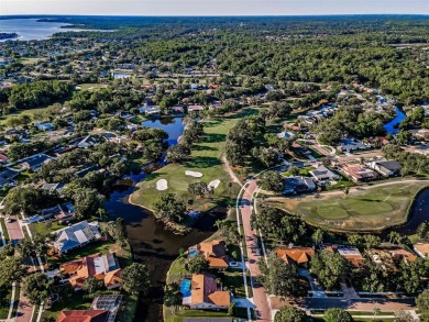 Welcome to Woodland Estates a unique enclave of stately homes on East Lake Woodlands Country Club in Florida - for sale on GolfHomes.com, golf home, golf lot