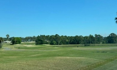 WELCOME TO BEAUTIFUL SPRUCE CREEK GOLF & COUNTRY CLUB! on Eagle Ridge At Spruce Creek Country Club in Florida - for sale on GolfHomes.com, golf home, golf lot