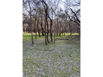 Lot is semi-cleared. Has hardwoods, very few cedars.  Enjoy on White Bluff Resort - New Course in Texas - for sale on GolfHomes.com, golf home, golf lot