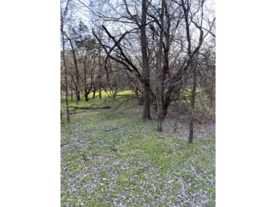 Lot is semi-cleared. Has hardwoods, very few cedars.  Enjoy on White Bluff Resort - New Course in Texas - for sale on GolfHomes.com, golf home, golf lot