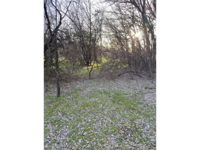 Lot is semi-cleared. Has hardwoods, very few cedars.  Enjoy on White Bluff Resort - New Course in Texas - for sale on GolfHomes.com, golf home, golf lot