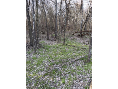 Lot is semi-cleared. Has hardwoods, very few cedars.  Enjoy on White Bluff Resort - New Course in Texas - for sale on GolfHomes.com, golf home, golf lot