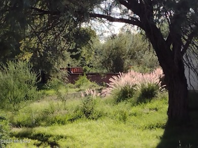 Tucked into a quiet spot at the back of a cul-de-sac, with on Quail Creek Country Club  in Arizona - for sale on GolfHomes.com, golf home, golf lot