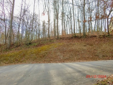 These lots are located in peaceful Aldersgate Ridge with access on Lake Junaluska Golf Course in North Carolina - for sale on GolfHomes.com, golf home, golf lot