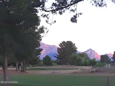 Tucked into a quiet spot at the back of a cul-de-sac, with on Quail Creek Country Club  in Arizona - for sale on GolfHomes.com, golf home, golf lot