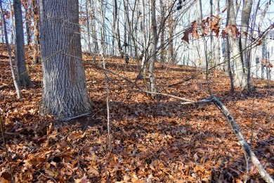 These lots are located in peaceful Aldersgate Ridge with access on Lake Junaluska Golf Course in North Carolina - for sale on GolfHomes.com, golf home, golf lot