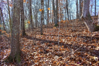 These lots are located in peaceful Aldersgate Ridge with access on Lake Junaluska Golf Course in North Carolina - for sale on GolfHomes.com, golf home, golf lot