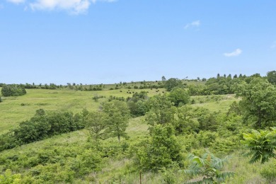 Welcome to America's Premier Nature Golf Destination! Discover on Payne Stewart Golf Club of Branson Hills - Front in Missouri - for sale on GolfHomes.com, golf home, golf lot