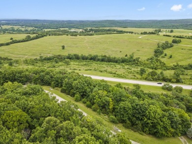 Welcome to America's Premier Nature Golf Destination! Discover on Payne Stewart Golf Club of Branson Hills - Front in Missouri - for sale on GolfHomes.com, golf home, golf lot
