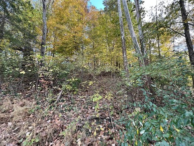 Two lots in the highly desirable Foxcliff South Estates! on Foxcliff Golf Club in Indiana - for sale on GolfHomes.com, golf home, golf lot