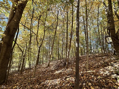 Two lots in the highly desirable Foxcliff South Estates! on Foxcliff Golf Club in Indiana - for sale on GolfHomes.com, golf home, golf lot