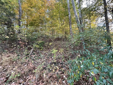 Two lots in the highly desirable Foxcliff South Estates! on Foxcliff Golf Club in Indiana - for sale on GolfHomes.com, golf home, golf lot