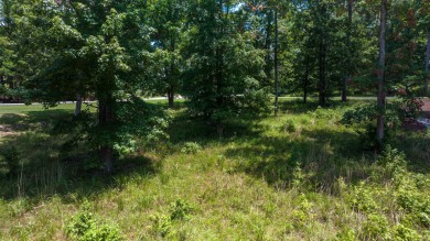 Want to build your home with Lakefront Views from every room? on Harbor Club Golf and Country Club in Georgia - for sale on GolfHomes.com, golf home, golf lot