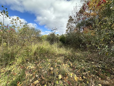 Two lots in the highly desirable Foxcliff South Estates! on Foxcliff Golf Club in Indiana - for sale on GolfHomes.com, golf home, golf lot