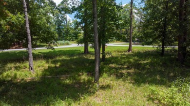 Want to build your home with Lakefront Views from every room? on Harbor Club Golf and Country Club in Georgia - for sale on GolfHomes.com, golf home, golf lot