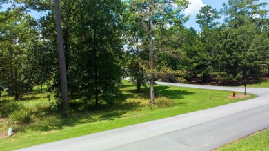 Want to build your home with Lakefront Views from every room? on Harbor Club Golf and Country Club in Georgia - for sale on GolfHomes.com, golf home, golf lot