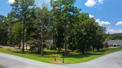 Want to build your home with Lakefront Views from every room? on Harbor Club Golf and Country Club in Georgia - for sale on GolfHomes.com, golf home, golf lot