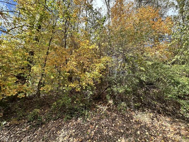 Two lots in the highly desirable Foxcliff South Estates! on Foxcliff Golf Club in Indiana - for sale on GolfHomes.com, golf home, golf lot