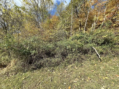 Two lots in the highly desirable Foxcliff South Estates! on Foxcliff Golf Club in Indiana - for sale on GolfHomes.com, golf home, golf lot