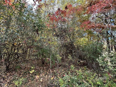 Two lots in the highly desirable Foxcliff South Estates! on Foxcliff Golf Club in Indiana - for sale on GolfHomes.com, golf home, golf lot