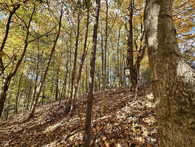 Two lots in the highly desirable Foxcliff South Estates! on Foxcliff Golf Club in Indiana - for sale on GolfHomes.com, golf home, golf lot