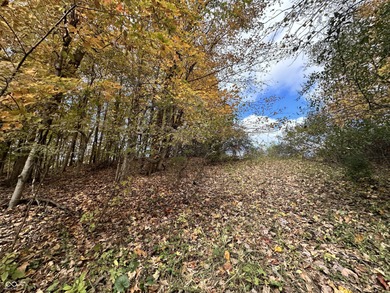 Two lots in the highly desirable Foxcliff South Estates! on Foxcliff Golf Club in Indiana - for sale on GolfHomes.com, golf home, golf lot