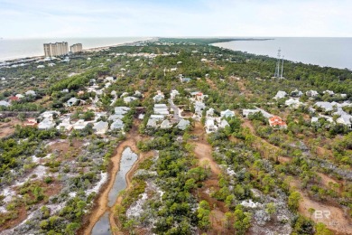 Welcome to paradise in Gulf Shores, AL! This exquisite beach on Kiva Dunes Golf Club in Alabama - for sale on GolfHomes.com, golf home, golf lot