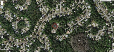 Enjoy the Florida lifestyle at a reasonable price in a great on Sugarmill Woods Golf and Country Club in Florida - for sale on GolfHomes.com, golf home, golf lot