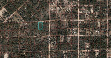 1/4 ACRE (mol) BUILDING LOT IN WILLISTON HIGHLANDS GOLF  COUNTRY on Williston Highlands Golf and Country Club in Florida - for sale on GolfHomes.com, golf home, golf lot