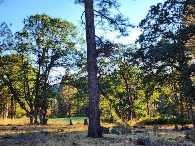 GOLF C0URSE LOT - 6TH GREEN AND FAIRWAY Located at the Running Y on Running Y Ranch Resort in Oregon - for sale on GolfHomes.com, golf home, golf lot