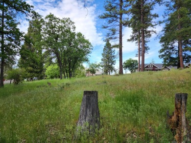 GOLF C0URSE LOT - 6TH GREEN AND FAIRWAY Located at the Running Y on Running Y Ranch Resort in Oregon - for sale on GolfHomes.com, golf home, golf lot