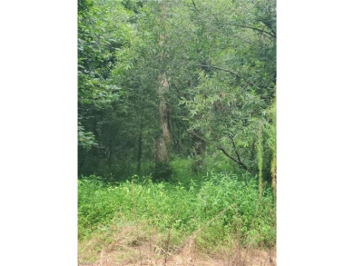 Private wooded lot with almost an 1/2 acre of land for you! on Sleepy Hole in Virginia - for sale on GolfHomes.com, golf home, golf lot