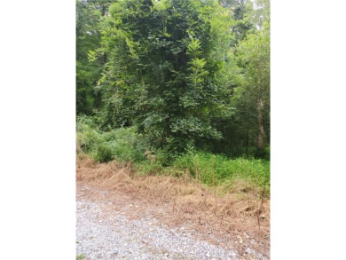 Private wooded lot with almost an 1/2 acre of land for you! on Sleepy Hole in Virginia - for sale on GolfHomes.com, golf home, golf lot