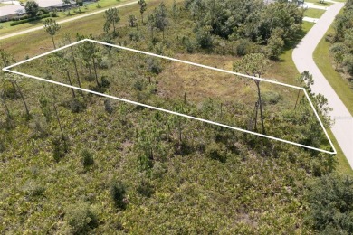 JUST OVER A 1/2 ACRE VACANT LOT IN SOUGHT AFTER DEEP CREEK on Deep Creek Golf Club in Florida - for sale on GolfHomes.com, golf home, golf lot