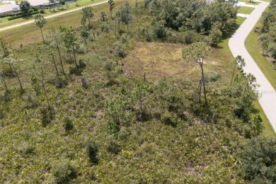 JUST OVER A 1/2 ACRE VACANT LOT IN SOUGHT AFTER DEEP CREEK on Deep Creek Golf Club in Florida - for sale on GolfHomes.com, golf home, golf lot