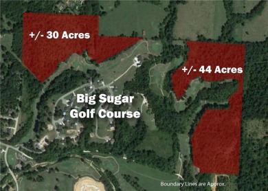 This is your opportunity to capture highly versatile +/- 73 on Big Sugar Golf Club in Arkansas - for sale on GolfHomes.com, golf home, golf lot