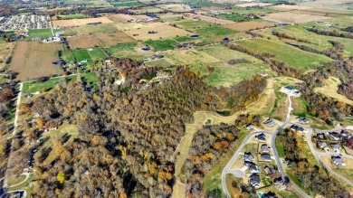 This is your opportunity to capture highly versatile +/- 73 on Big Sugar Golf Club in Arkansas - for sale on GolfHomes.com, golf home, golf lot