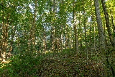 This is a fantastic building lot that overlooks the green on Skyland Lakes Golf Course in Virginia - for sale on GolfHomes.com, golf home, golf lot