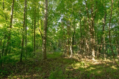 This is a fantastic building lot that overlooks the green on Skyland Lakes Golf Course in Virginia - for sale on GolfHomes.com, golf home, golf lot