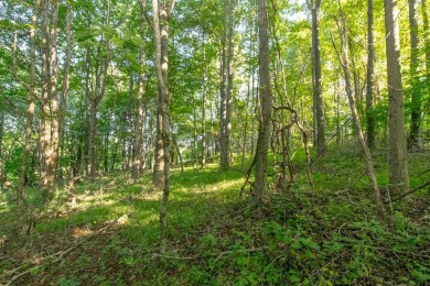 This is a fantastic building lot that overlooks the green on Skyland Lakes Golf Course in Virginia - for sale on GolfHomes.com, golf home, golf lot