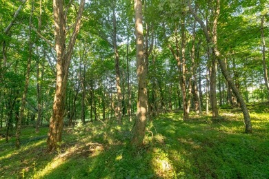 This is a fantastic building lot that overlooks the green on Skyland Lakes Golf Course in Virginia - for sale on GolfHomes.com, golf home, golf lot