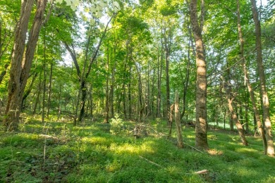 This is a fantastic building lot that overlooks the green on Skyland Lakes Golf Course in Virginia - for sale on GolfHomes.com, golf home, golf lot